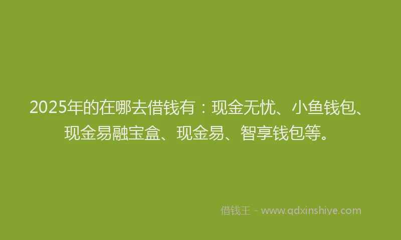 2025年的在哪去借钱有：现金无忧、小鱼钱包、现金易融宝盒、现金易、智享钱包等。