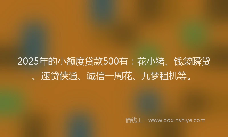 2025年的小额度贷款500有：花小猪、钱袋瞬贷、速贷侠通、诚信一周花、九梦租机等。