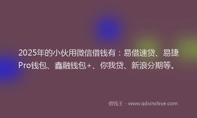 2025年的小伙用微信借钱有：易借速贷、易捷Pro钱包、鑫融钱包+、你我贷、新浪分期等。