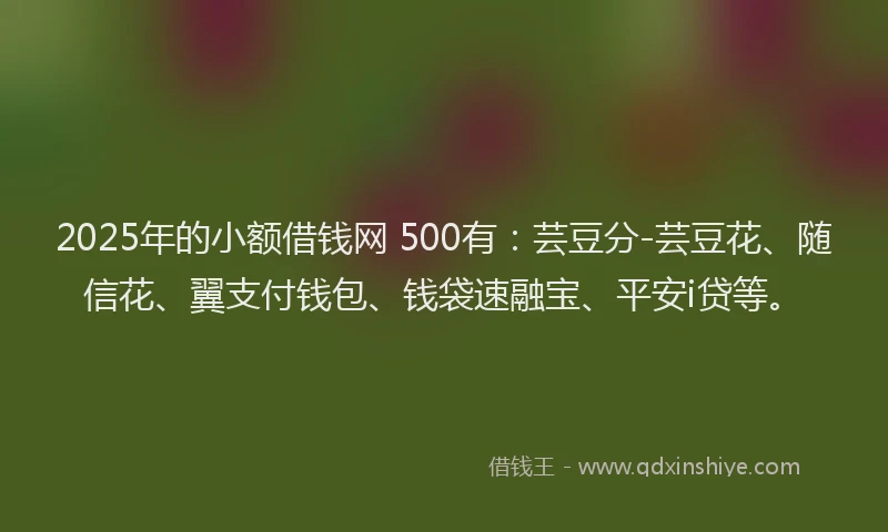 2025年的小额借钱网 500有:芸豆分-芸豆花、随信花、翼支付钱包、钱袋速融宝、平安i贷等。