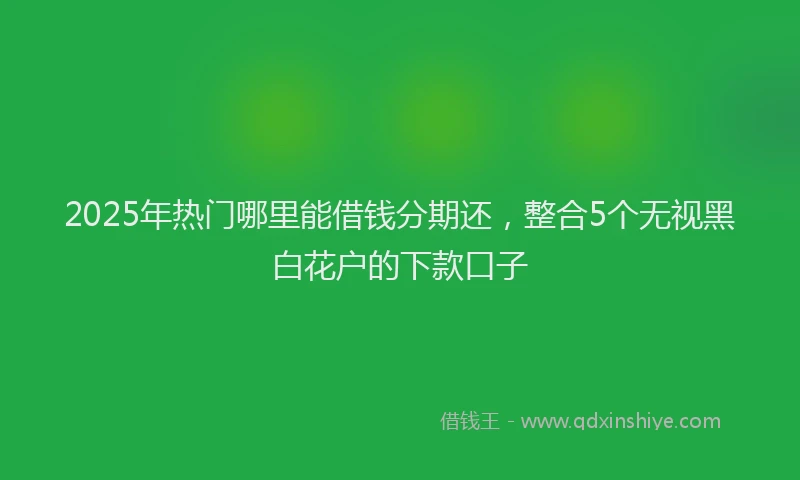 2025年热门哪里能借钱分期还，整合5个无视黑白花户的下款口子