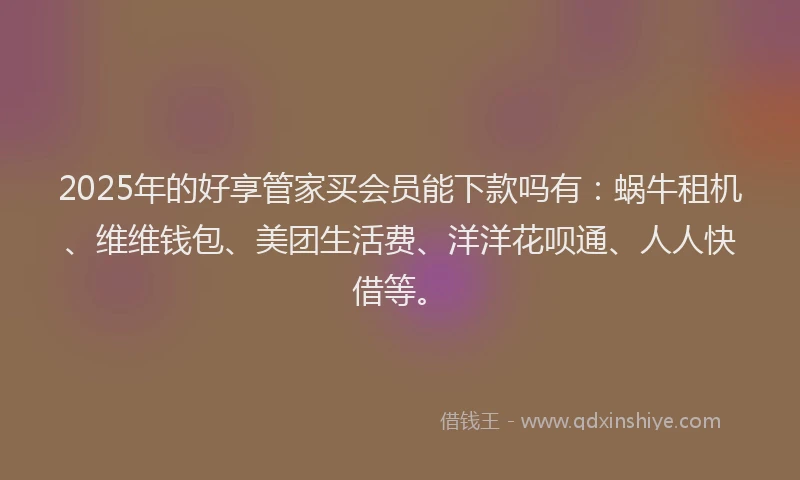 2025年的好享管家买会员能下款吗有：蜗牛租机、维维钱包、美团生活费、洋洋花呗通、人人快借等。
