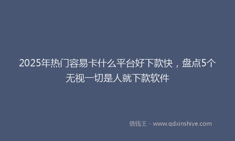 2025年热门容易卡什么平台好下款快，盘点5个无视一切是人就下款软件