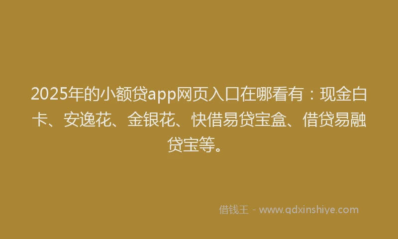 2025年的小额贷app网页入口在哪看有：现金白卡、安逸花、金银花、快借易贷宝盒、借贷易融贷宝等。