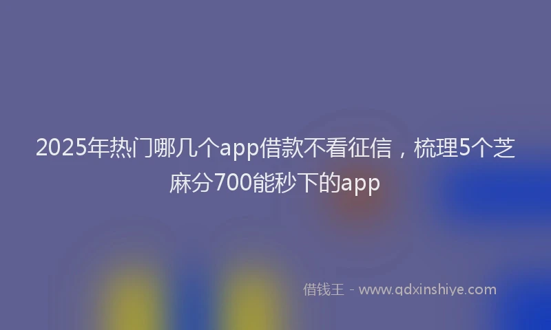 2025年热门哪几个app借款不看征信，梳理5个芝麻分700能秒下的app