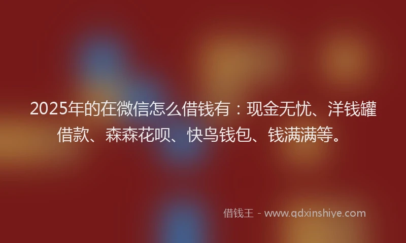 2025年的在微信怎么借钱有：现金无忧、洋钱罐借款、森森花呗、快鸟钱包、钱满满等。