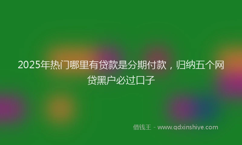 2025年热门哪里有贷款是分期付款，归纳五个网贷黑户必过口子