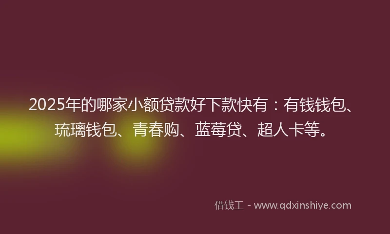 2025年的哪家小额贷款好下款快有：有钱钱包、琉璃钱包、青春购、蓝莓贷、超人卡等。