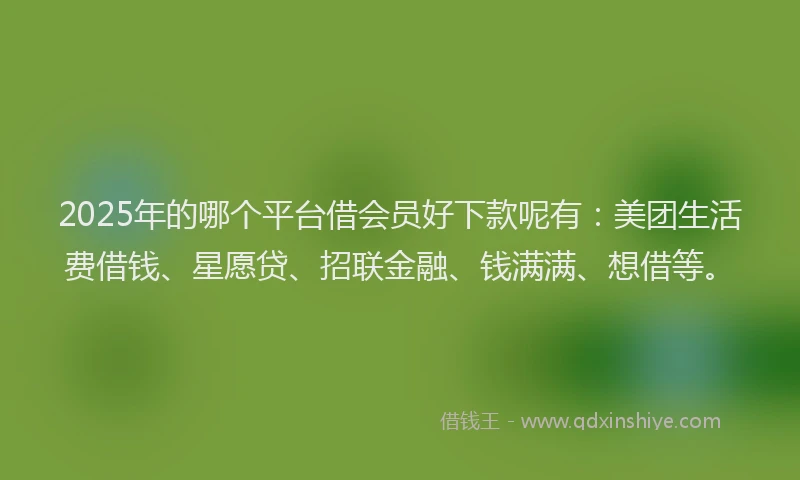 2025年的哪个平台借会员好下款呢有：美团生活费借钱、星愿贷、招联金融、钱满满、想借等。