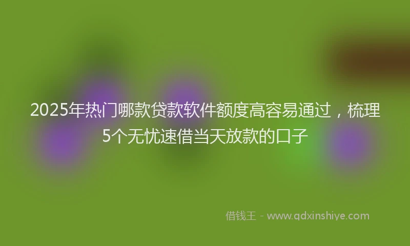2025年热门哪款贷款软件额度高容易通过，梳理5个无忧速借当天放款的口子