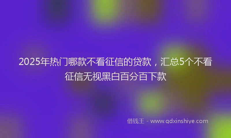 2025年热门哪款不看征信的贷款，汇总5个不看征信无视黑白百分百下款