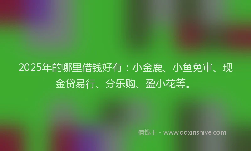 2025年的哪里借钱好有：小金鹿、小鱼免审、现金贷易行、分乐购、盈小花等。