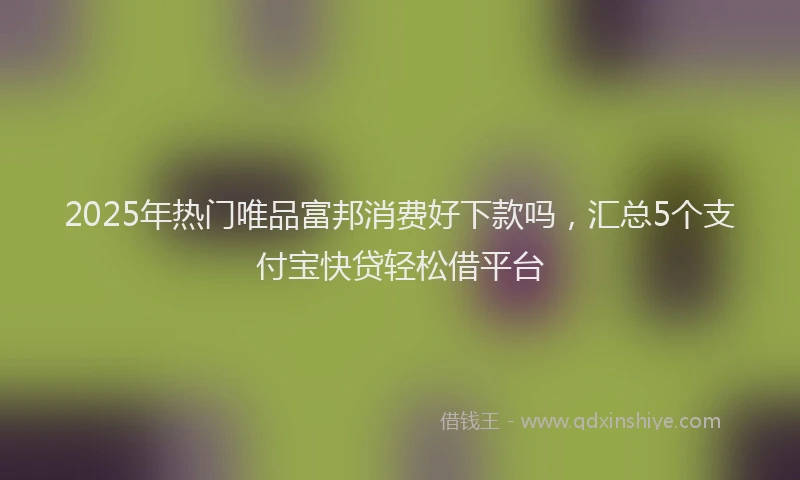 2025年热门唯品富邦消费好下款吗，汇总5个支付宝快贷轻松借平台