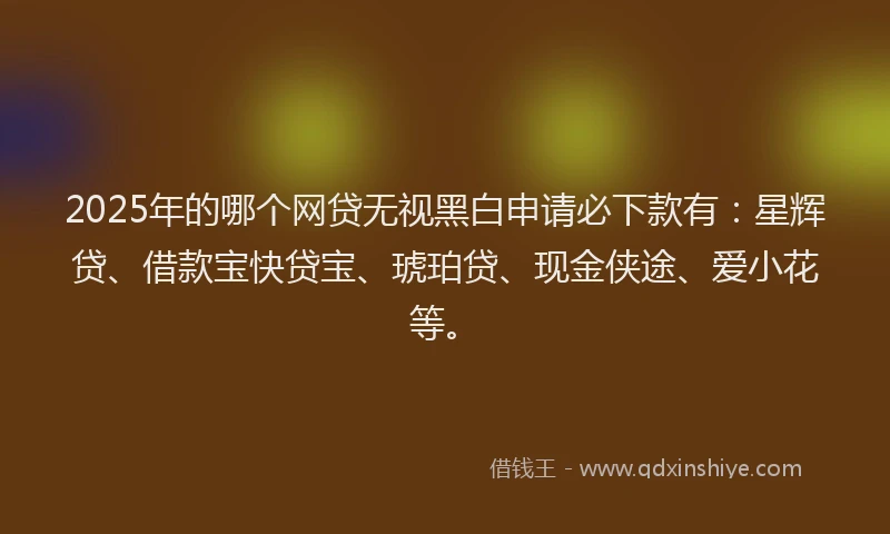 2025年的哪个网贷无视黑白申请必下款有：星辉贷、借款宝快贷宝、琥珀贷、现金侠途、爱小花等。