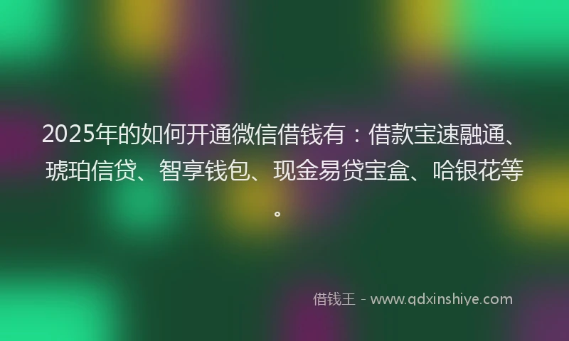2025年的如何开通微信借钱有：借款宝速融通、琥珀信贷、智享钱包、现金易贷宝盒、哈银花等。