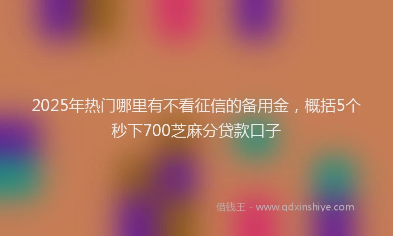 2025年热门哪里有不看征信的备用金，概括5个秒下700芝麻分贷款口子