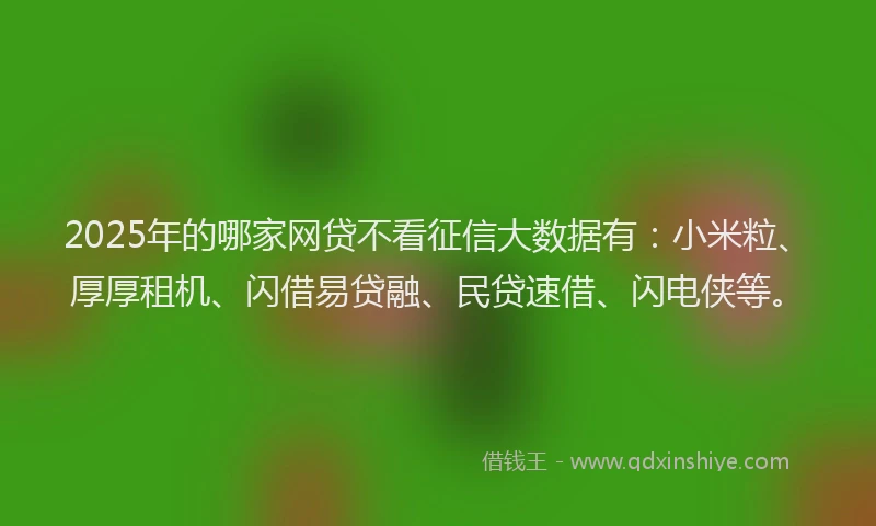 2025年的哪家网贷不看征信大数据有：小米粒、厚厚租机、闪借易贷融、民贷速借、闪电侠等。