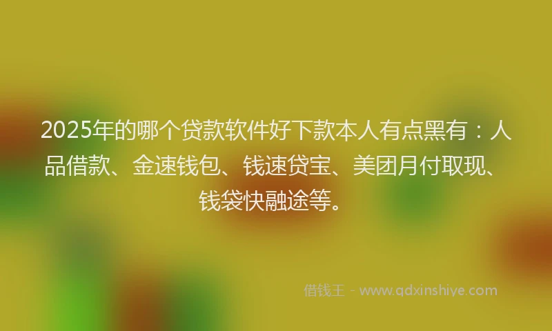 2025年的哪个贷款软件好下款本人有点黑有：人品借款、金速钱包、钱速贷宝、美团月付取现、钱袋快融途等。
