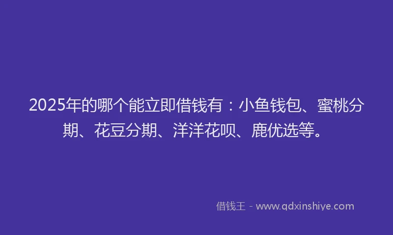 2025年的哪个能立即借钱有：小鱼钱包、蜜桃分期、花豆分期、洋洋花呗、鹿优选等。