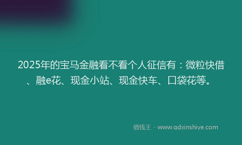2025年的宝马金融看不看个人征信有：微粒快借、融e花、现金小站、现金快车、口袋花等。