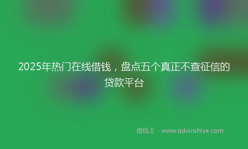 2025年热门在线借钱，盘点五个真正不查征信的贷款平台