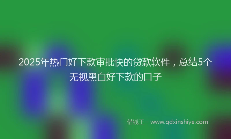 2025年热门好下款审批快的贷款软件，总结5个无视黑白好下款的口子