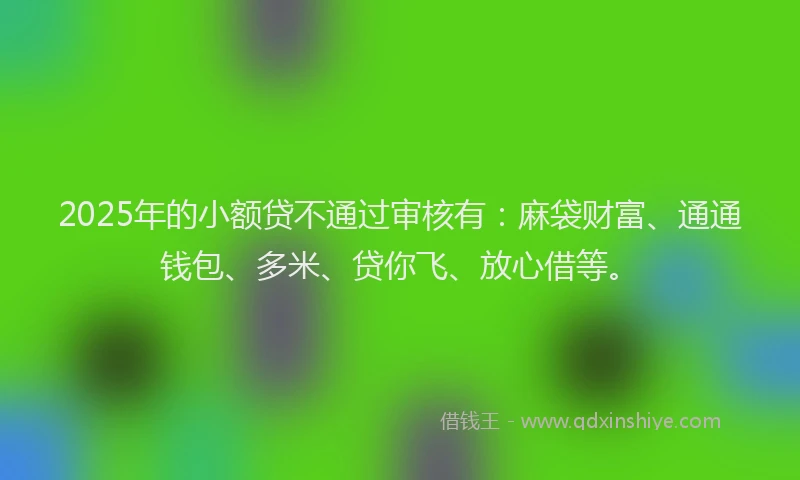 2025年的小额贷不通过审核有：麻袋财富、通通钱包、多米、贷你飞、放心借等。