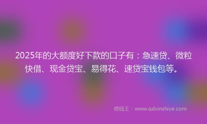 2025年的大额度好下款的口子有：急速贷、微粒快借、现金贷宝、易得花、速贷宝钱包等。