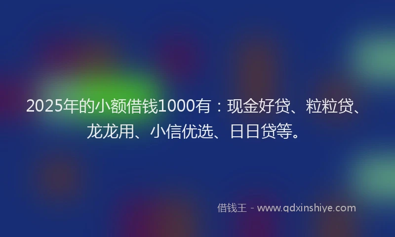 2025年的小额借钱1000有：现金好贷、粒粒贷、龙龙用、小信优选、日日贷等。