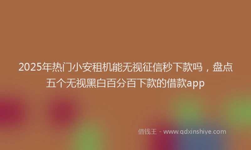 2025年热门小安租机能无视征信秒下款吗，盘点五个无视黑白百分百下款的借款app