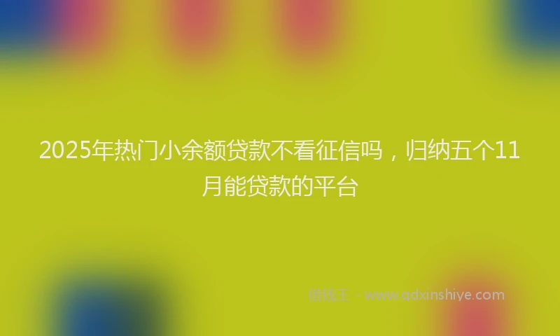 2025年热门小余额贷款不看征信吗，归纳五个11月能贷款的平台