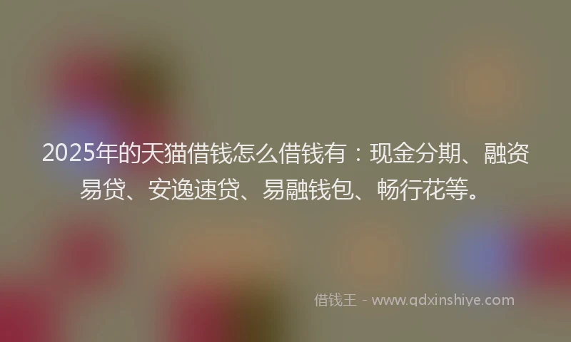 2025年的天猫借钱怎么借钱有：现金分期、融资易贷、安逸速贷、易融钱包、畅行花等。