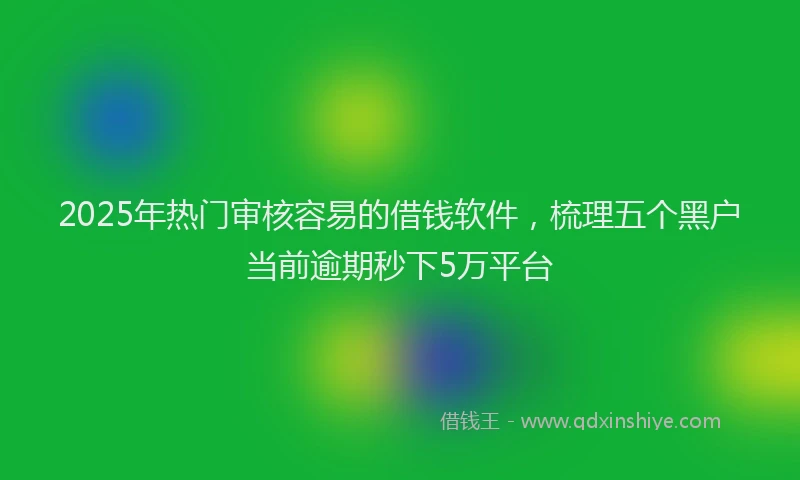 2025年热门审核容易的借钱软件，梳理五个黑户当前逾期秒下5万平台