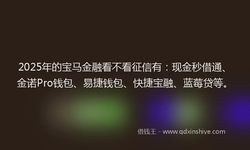 2025年的宝马金融看不看征信有：现金秒借通、金诺Pro钱包、易捷钱包、快捷宝融、蓝莓贷等。