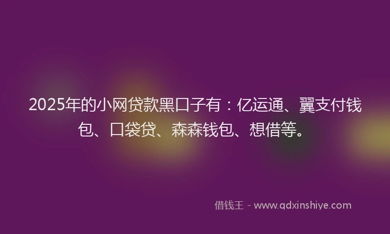 2025年的小网贷款黑口子有：亿运通、翼支付钱包、口袋贷、森森钱包、想借等。