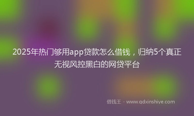 2025年热门够用app贷款怎么借钱，归纳5个真正无视风控黑白的网贷平台