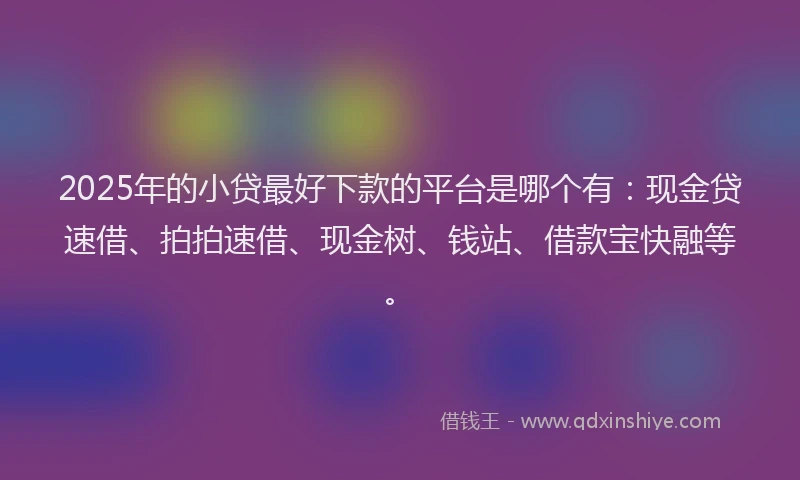 2025年的小贷最好下款的平台是哪个有：现金贷速借、拍拍速借、现金树、钱站、借款宝快融等。