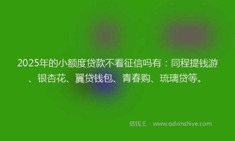2025年的小额度贷款不看征信吗有：同程提钱游、银杏花、翼贷钱包、青春购、琉璃贷等。