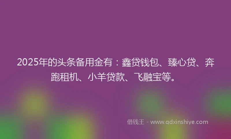 2025年的头条备用金有：鑫贷钱包、臻心贷、奔跑租机、小羊贷款、飞融宝等。