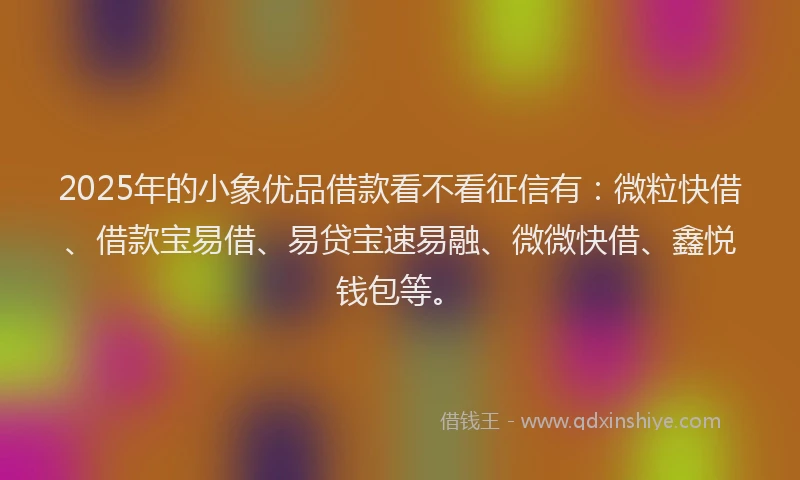 2025年的小象优品借款看不看征信有：微粒快借、借款宝易借、易贷宝速易融、微微快借、鑫悦钱包等。