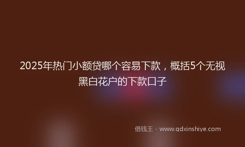 2025年热门小额贷哪个容易下款，概括5个无视黑白花户的下款口子