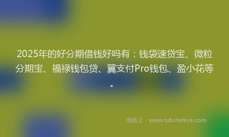 2025年的好分期借钱好吗有：钱袋速贷宝、微粒分期宝、福禄钱包贷、翼支付Pro钱包、盈小花等。