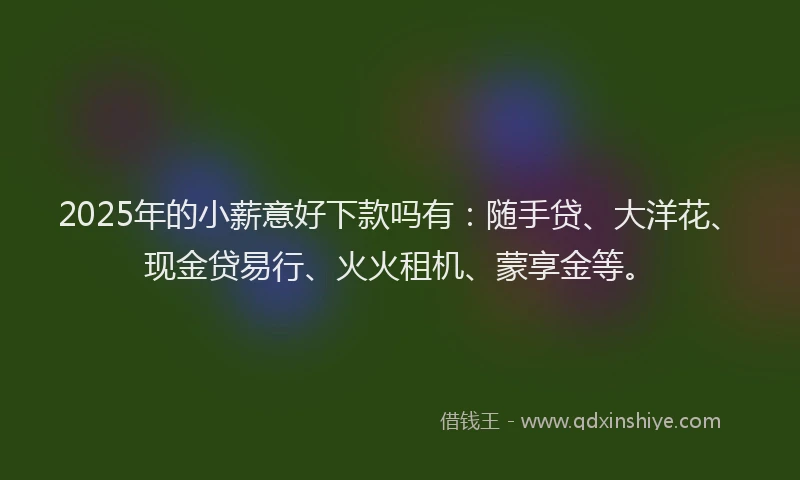 2025年的小薪意好下款吗有：随手贷、大洋花、现金贷易行、火火租机、蒙享金等。