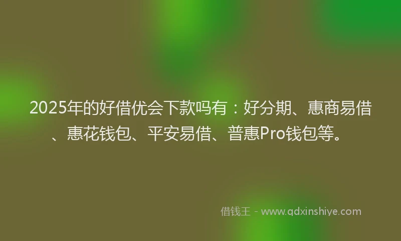 2025年的好借优会下款吗有：好分期、惠商易借、惠花钱包、平安易借、普惠Pro钱包等。