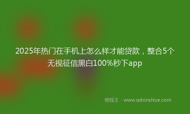 2025年热门在手机上怎么样才能贷款，整合5个无视征信黑白100%秒下app