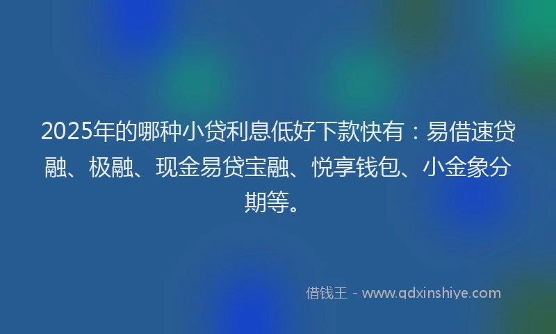 2025年的哪种小贷利息低好下款快有：易借速贷融、极融、现金易贷宝融、悦享钱包、小金象分期等。
