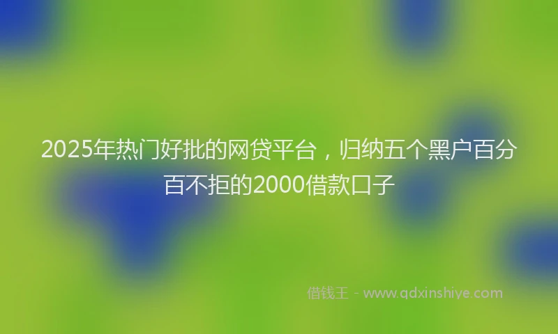 2025年热门好批的网贷平台，归纳五个黑户百分百不拒的2000借款口子