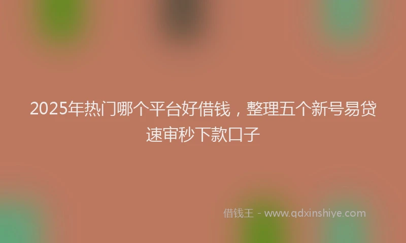 2025年热门哪个平台好借钱，整理五个新号易贷速审秒下款口子