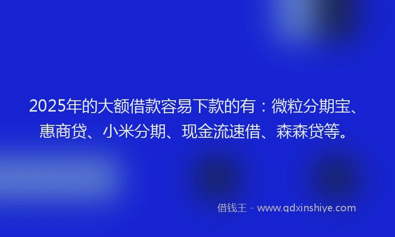 2025年的大额借款容易下款的有：微粒分期宝、惠商贷、小米分期、现金流速借、森森贷等。