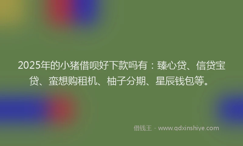 2025年的小猪借呗好下款吗有：臻心贷、信贷宝贷、蛮想购租机、柚子分期、星辰钱包等。